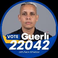 Guerli para Deputada Estadual - Vista as Cores da Campanha! frame