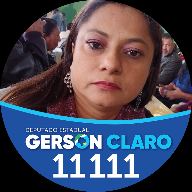 Gerson Claro 11111 frame